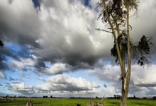 开云体育官方网站-风暴之眼崛起！西班牙悍将伊布埃拉五盘鏖战登顶温网之巅