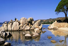 开云体育平台APP-强势逆转！尤文图斯晋级关键一战