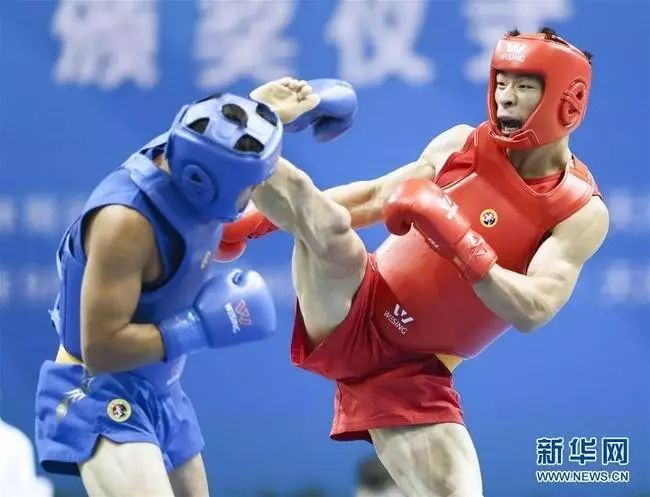 开云体育官方网站-包含爱尔兰篮球明日之星崭露头角，备受瞩目的词条