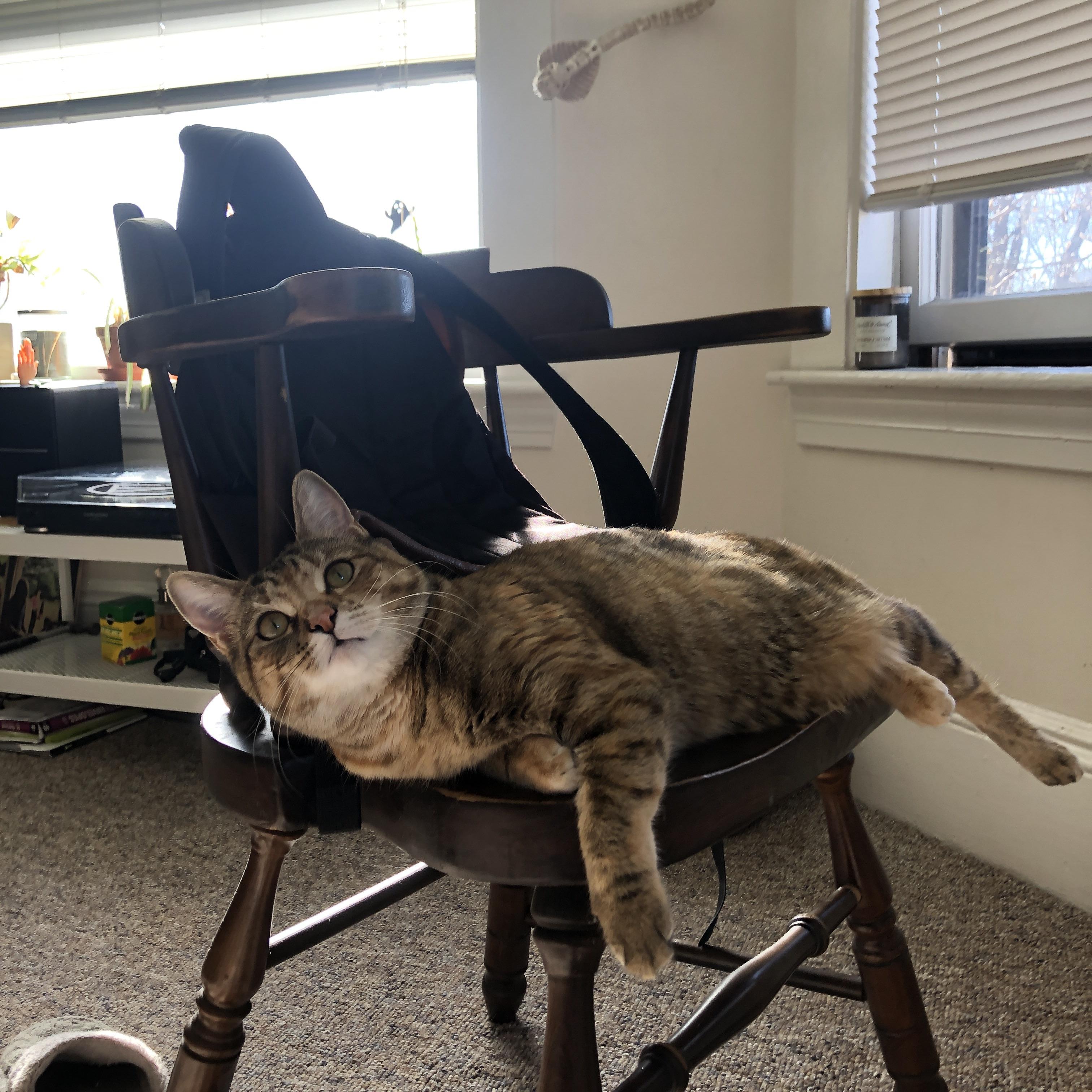 冷门与大师,比利亚雷亚尔斩落曼联,莫德里奇献压制级演出