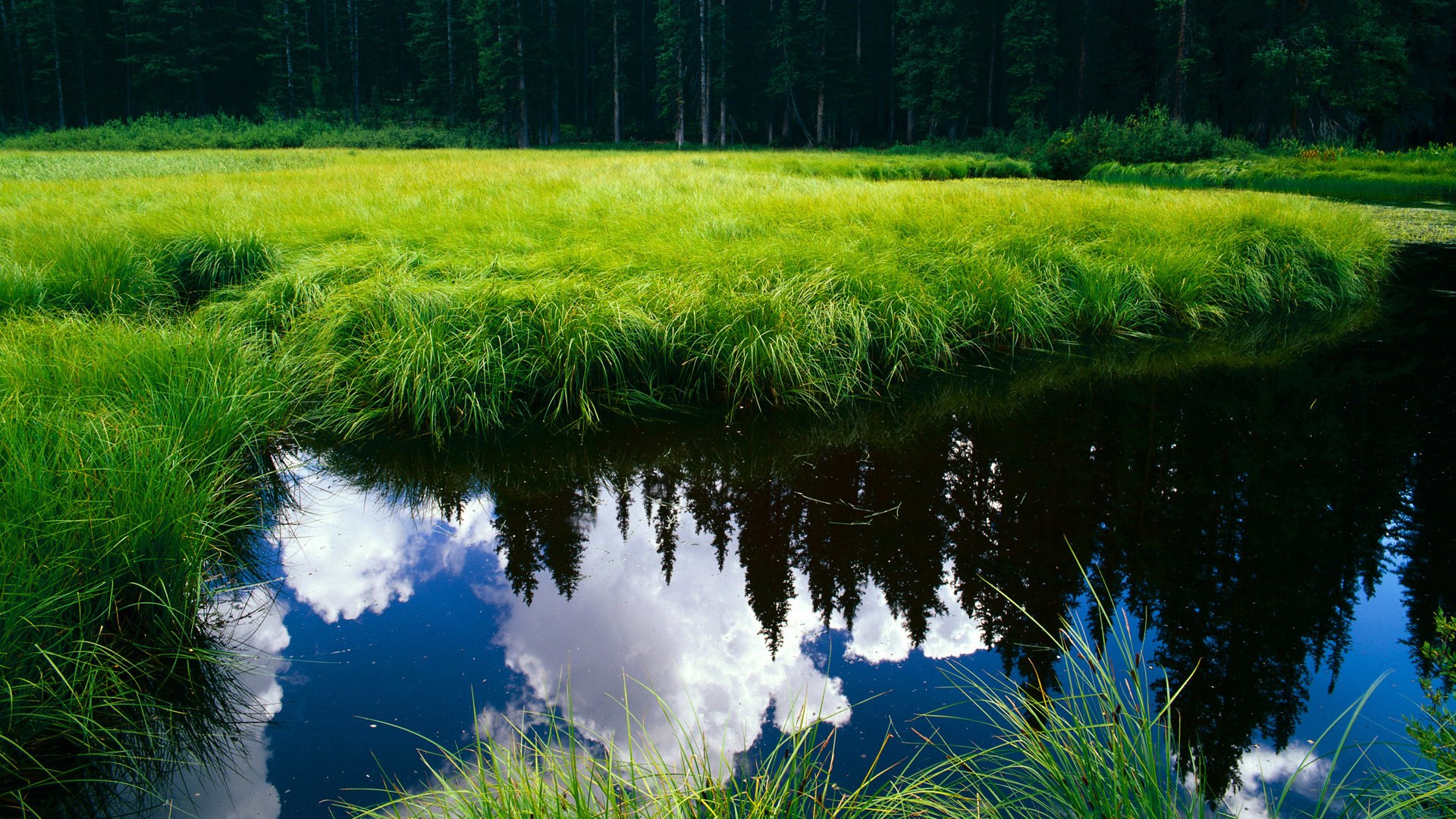 穹顶之下的磁极,马克西如何定义美加墨世界杯的攻防转换之夜