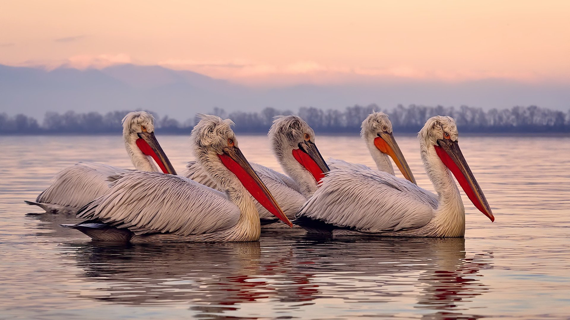 开云体育平台APP-秘鲁防线铸就奇迹，姆巴佩的防守艺术—当进攻巨星化身战术铁闸