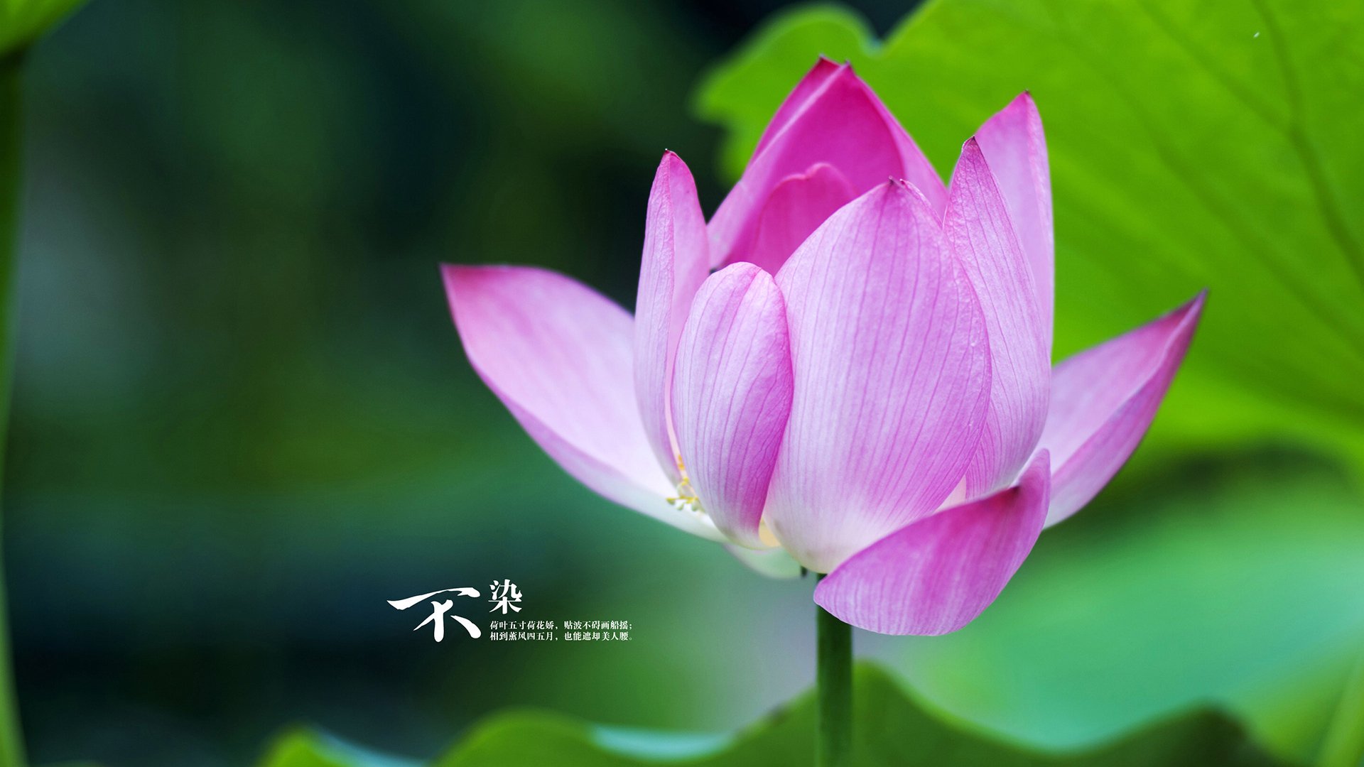 生死战黄潜力克蓝军,德里赫特化身关键先生定乾坤