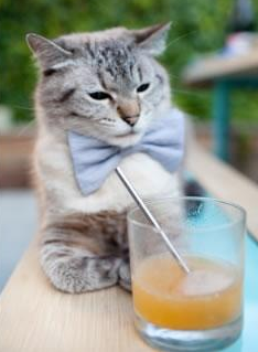 暗夜崛起,尼日利亚抢七鏖战力压爱尔兰,历史首次闯入八强