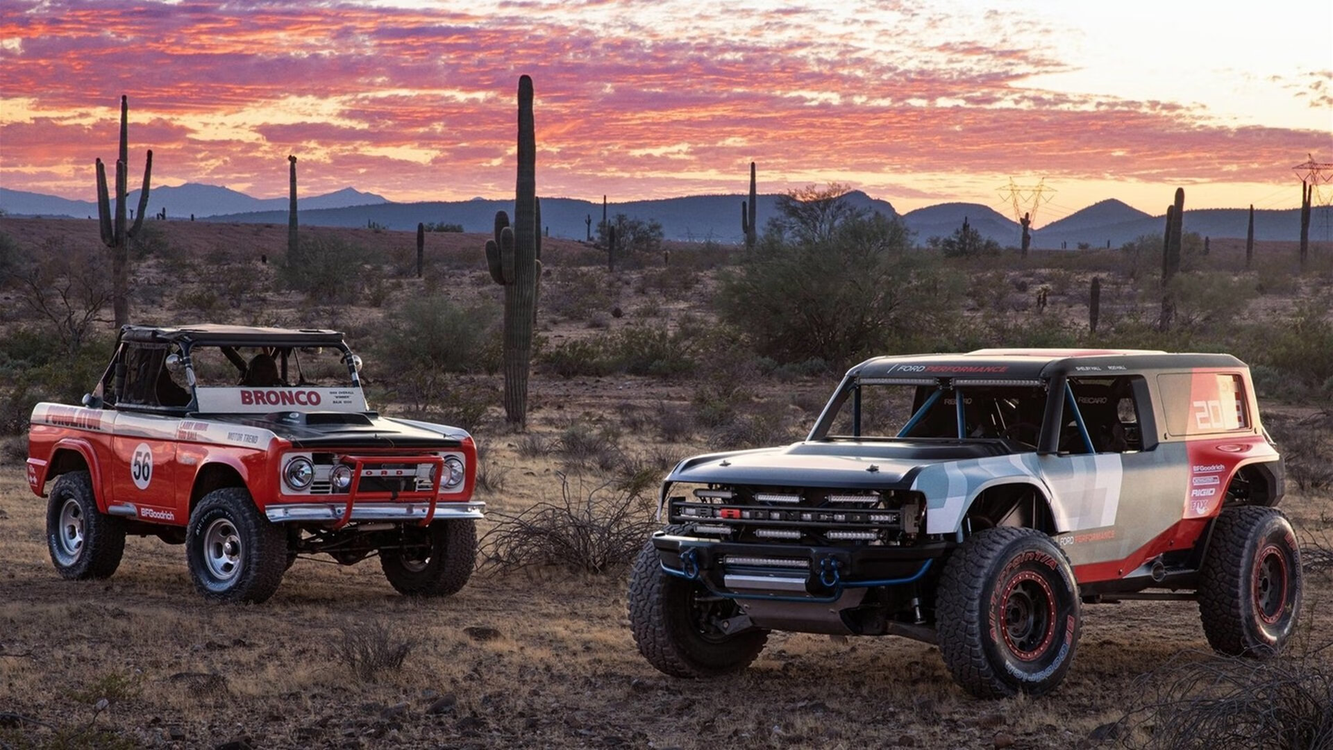 数字与旗帜，当德里赫特的欧元符号照亮里昂踏平波兰的足迹