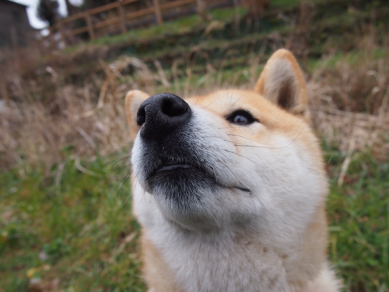 开云体育平台APP-王者归来！詹姆斯39分史诗级逆转，步行者铁血防线强势拿下国王