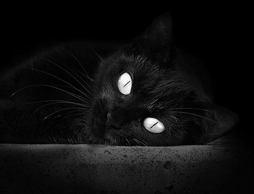 爱德华兹璀璨之夜评分拉满,无奈活塞末节逆转带走猛龙