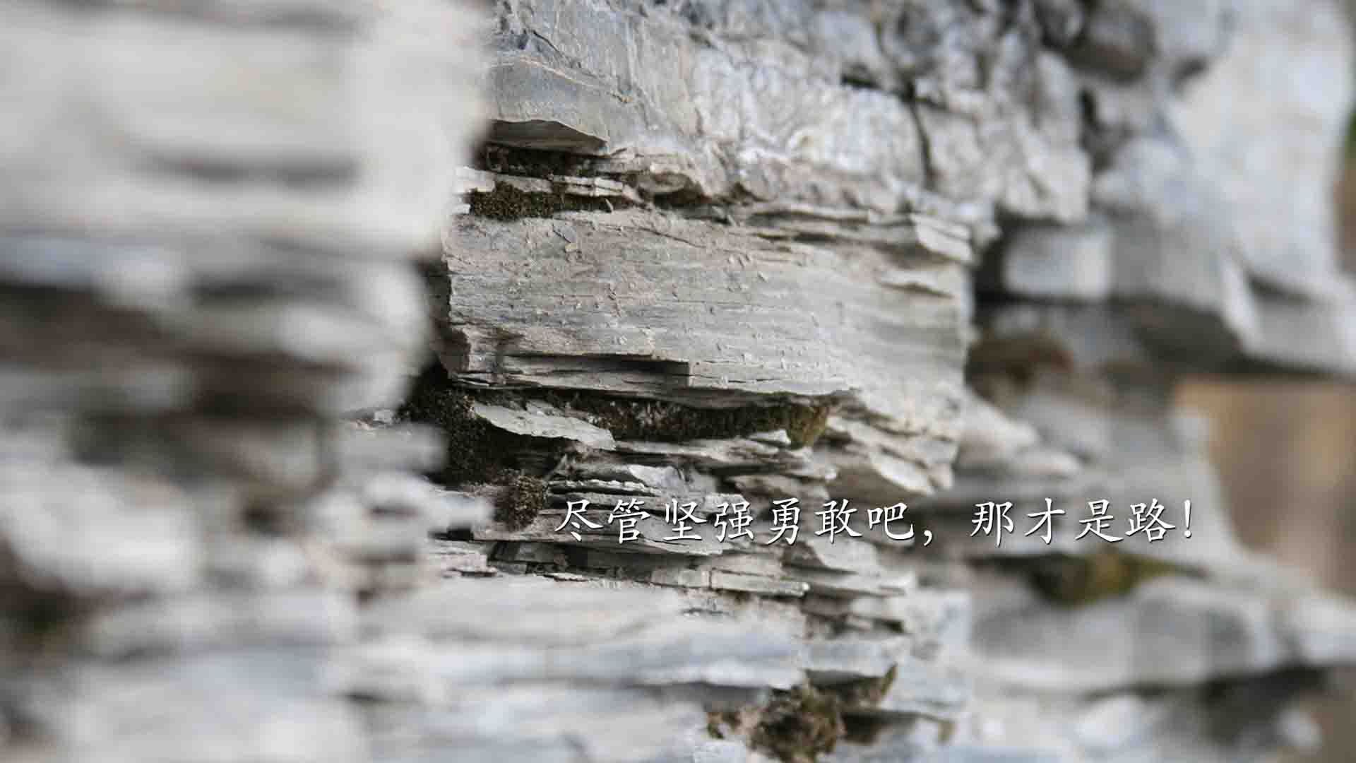 开云体育中国-传奇降临，格列兹曼燃爆非洲之巅，助尼日利亚打穿塞内加尔