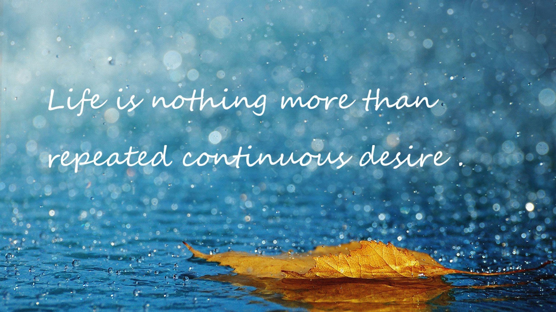 生死0.8秒！爱德华兹一剑封喉，勇士力克深圳夺关键一胜