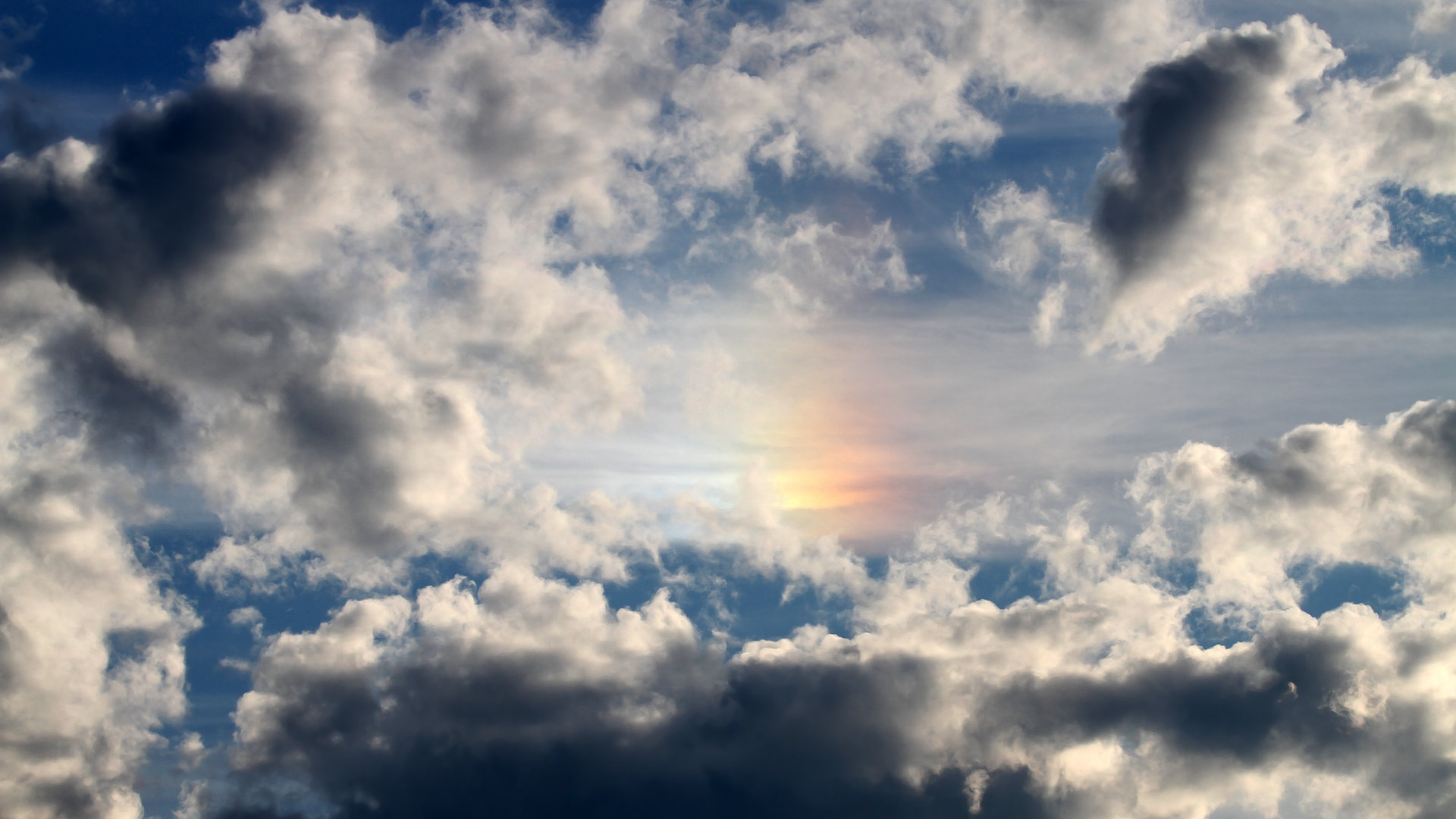 勒沃库森制霸委内瑞拉，罗德里戈关键先生引领胜利浪潮