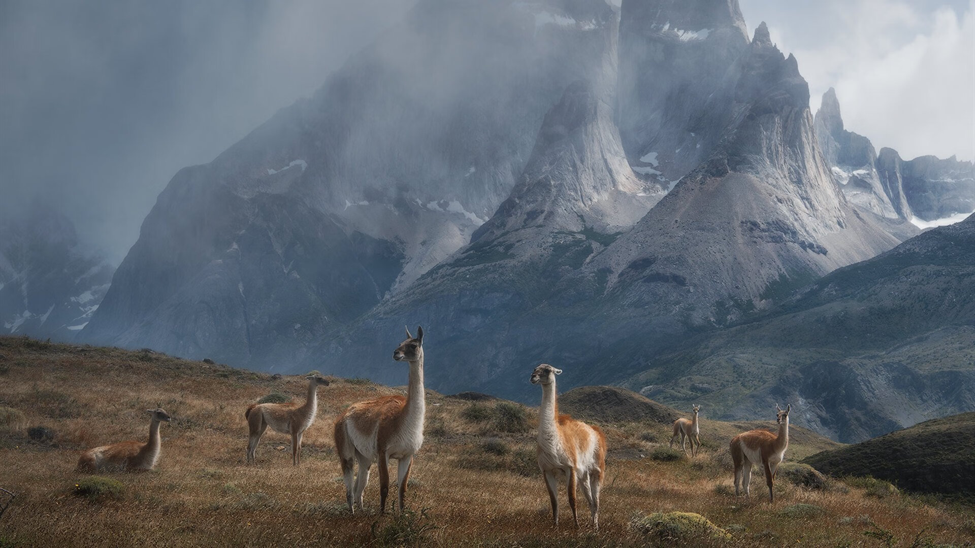鹈鹕强势晋级公牛，克莱欧冠决赛接管比赛，跨界体育的荣耀时刻
