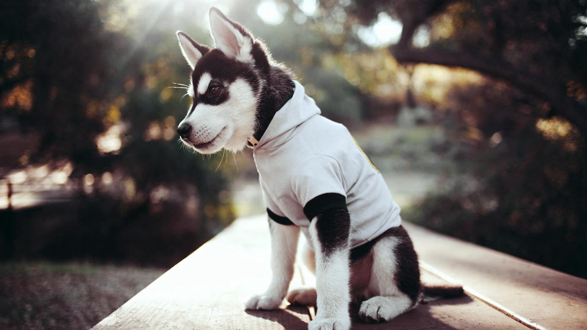 NBA季后赛之夜，莫兰特关键节点连续得分，点燃逆转之火