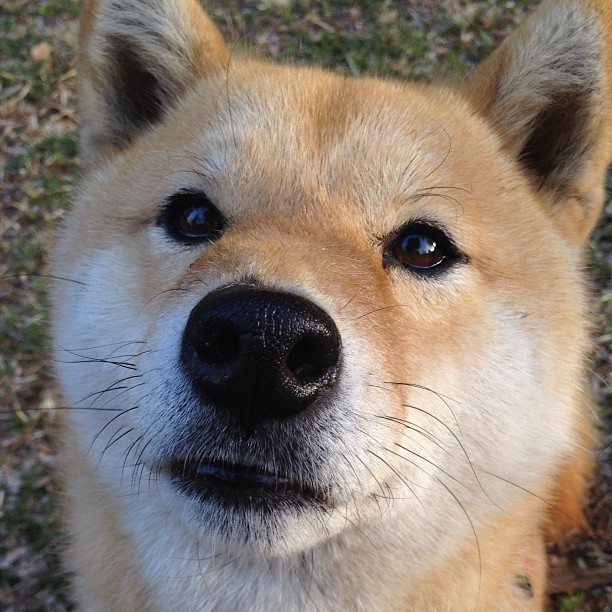 死神镰刀落下时，一个被塔图姆提前剧透的NBA季后赛之夜