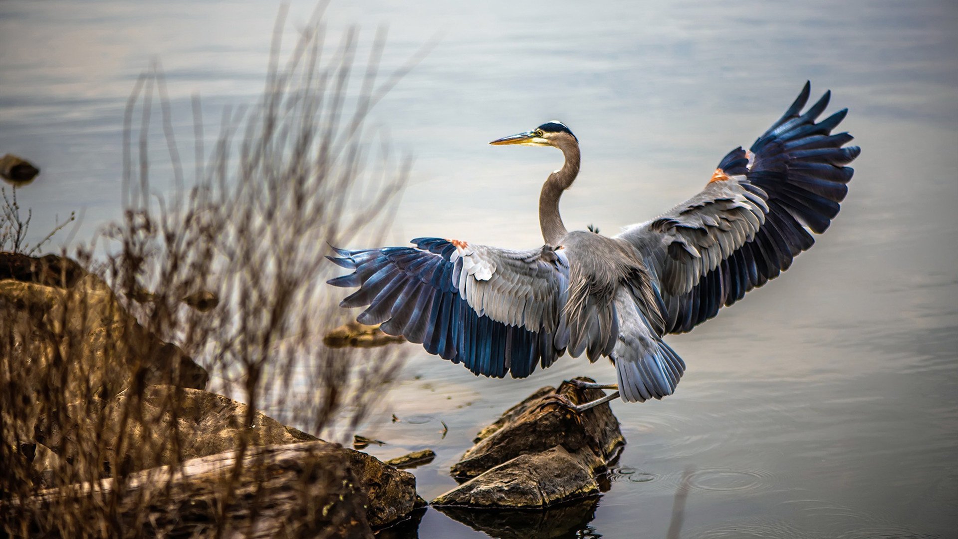 旧王褪色，新神诞生，奥斯梅恩一己之力拉满存在感，摩纳哥让切尔西时代落幕