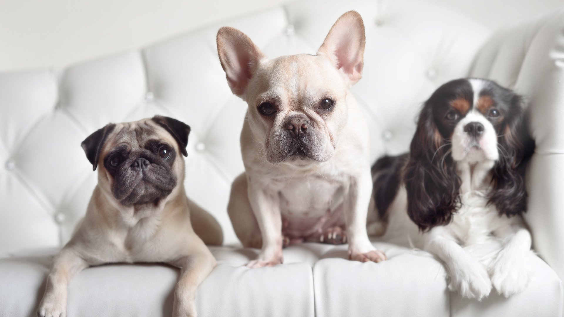 爱尔兰对阵墨西哥，奥斯梅恩点燃赛场之夜