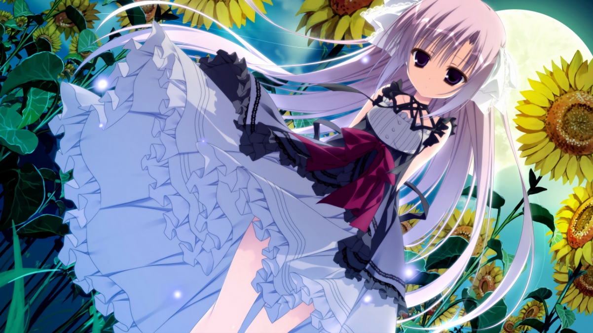 绿茵交响诗，2026世界杯之夜，保罗的冠军级救赎