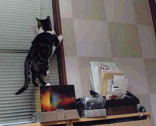 开云体育app-基米希关键时刻挺身而出，牙买加决胜局力克中国